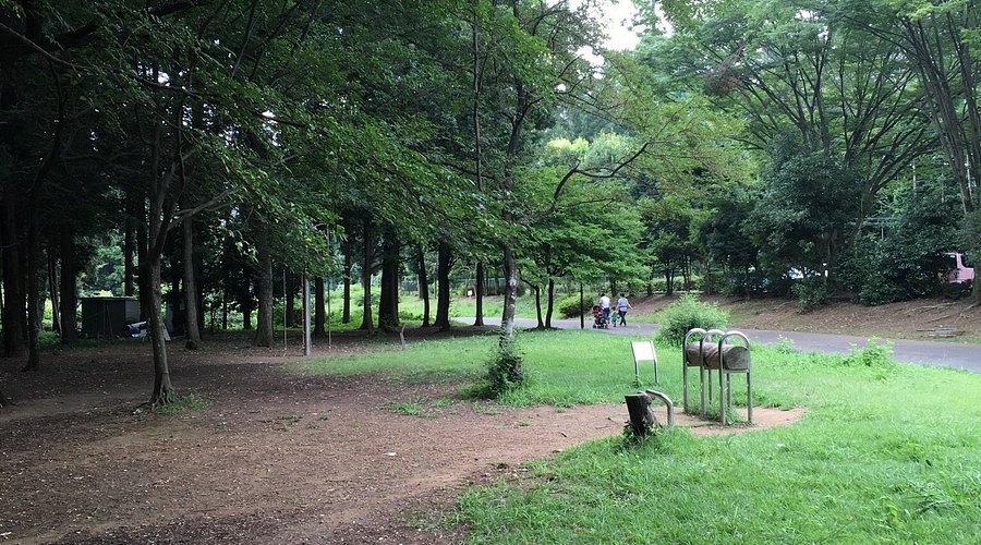🌳 히다카 종합공원 (日高総合公園) 이미지 1